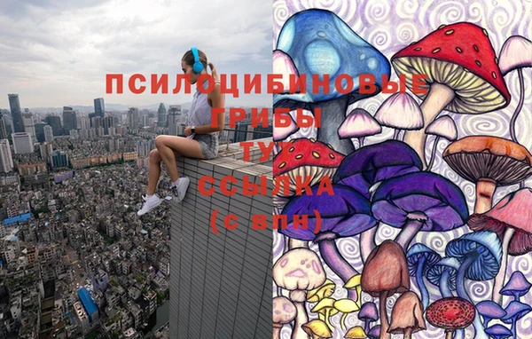 марки nbome Гусь-Хрустальный