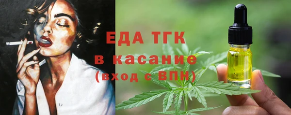 амф Гусев