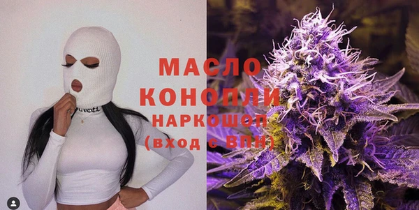 гидропоника Горнозаводск